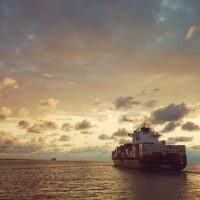 Regional carriers steam in to add more services to lucrative India-Red Sea trade